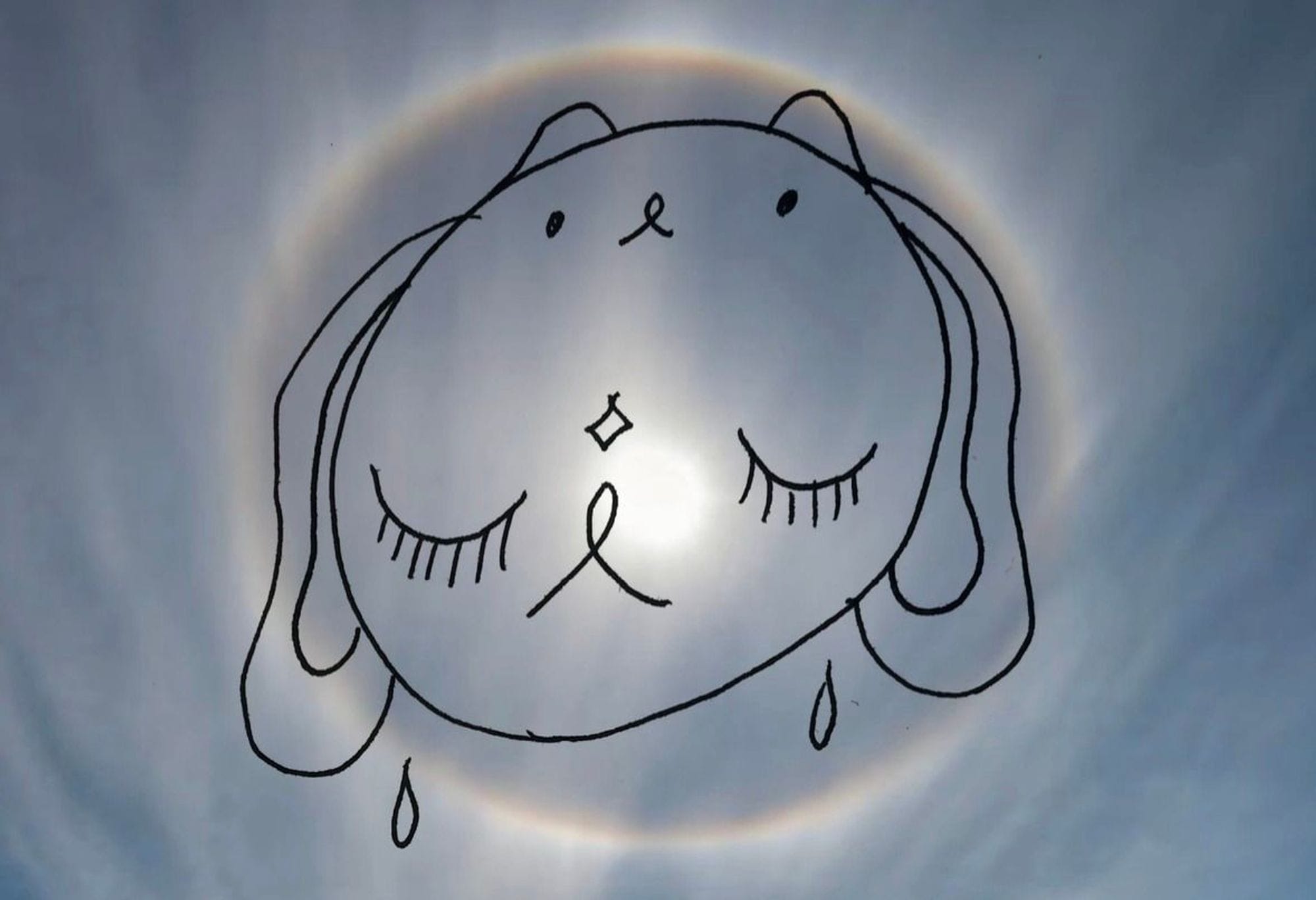 Jasa Baka Sun dog