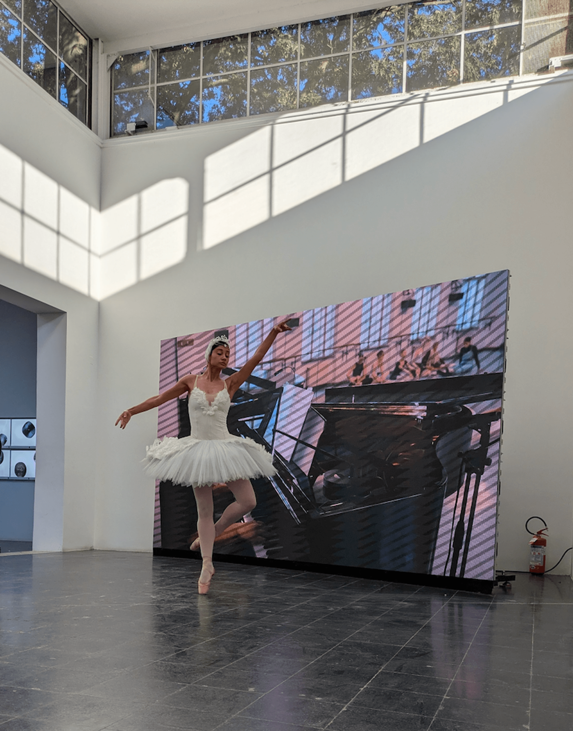 Rehearsal for Swan Lake, Anna Jermolaewa 1.